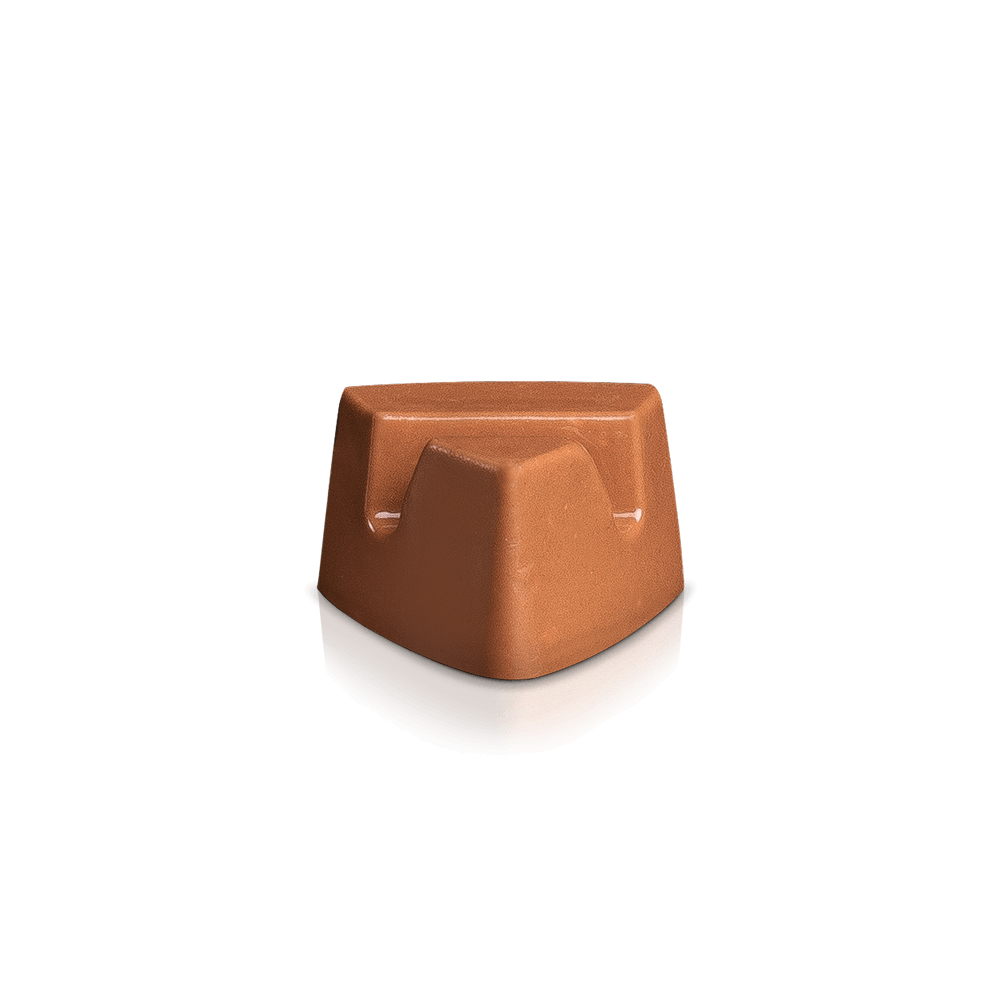 Son of a Nutcracker | Box with 12 pieces of chocolate