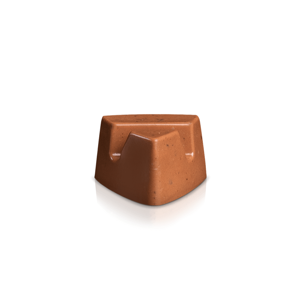 Crispy Carrie - Cube with 9 pcs. bites | Crunchy caramel, sea salt and milk chocolate